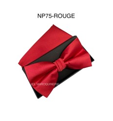 Nœuds papillon pour homme avec mouchoir/pochette emballé en boîte - 1