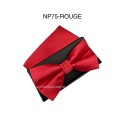 Nœuds papillon pour homme avec mouchoir/pochette emballé en boîte