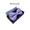 Nœuds papillon pour homme avec mouchoir/pochette emballé en boîte - 44