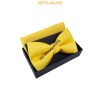 Nœuds papillon pour homme avec mouchoir en boîte JAUNE