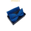 Nœuds papillon pour homme avec mouchoir en boîte BLEU A
