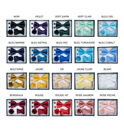 Nœuds papillon pour homme avec mouchoir/pochette - bouton manchette - fleur - emballé en boîte - 1